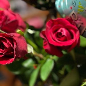 Meet your Posher, Maria